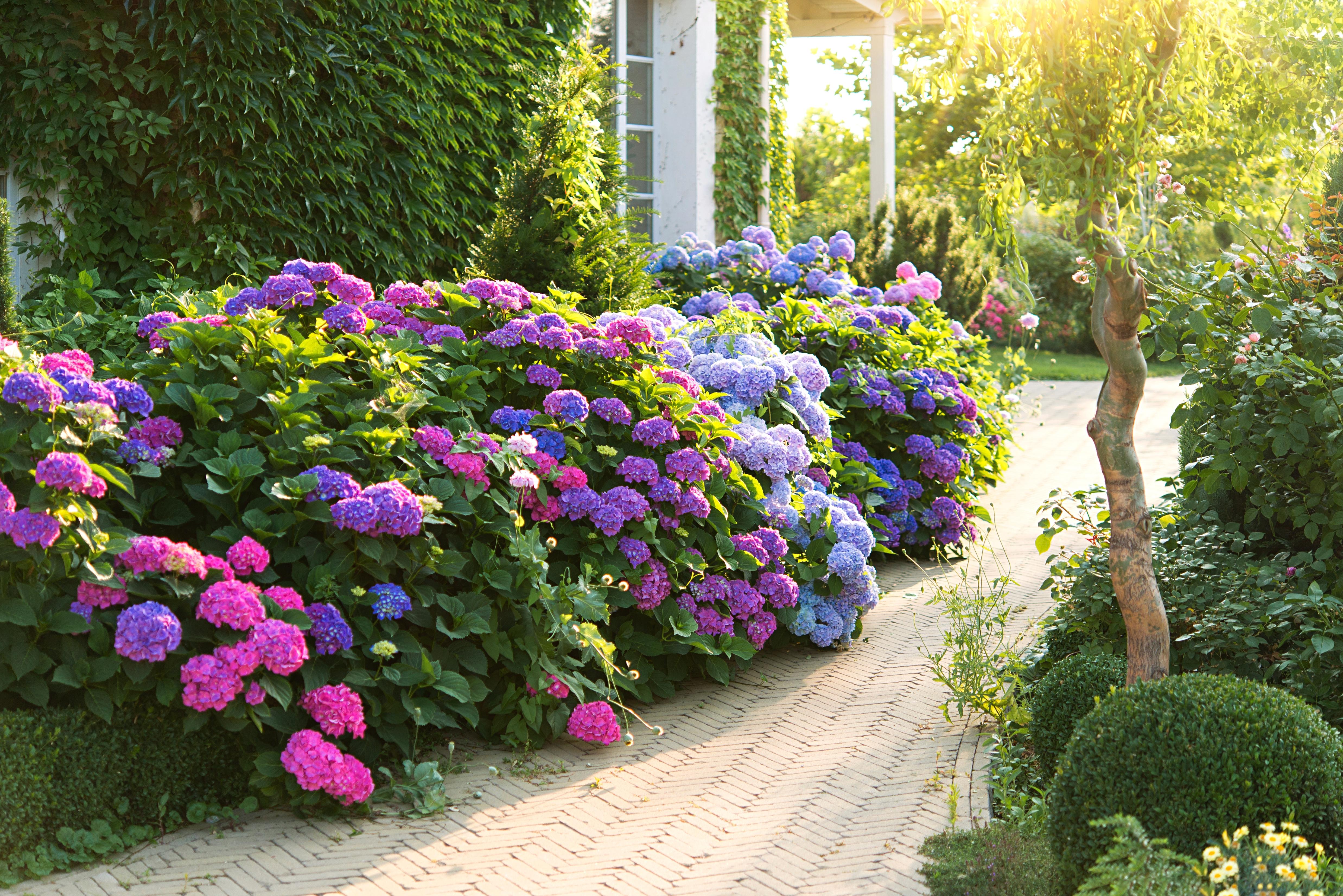Elevate Your Natural Spaces